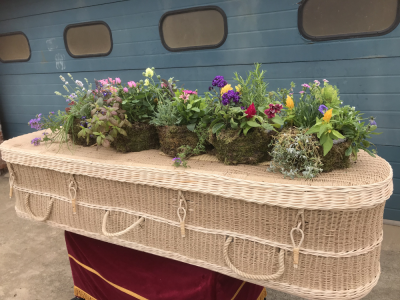 Living plant spray - A cluster of moss covered baskets planted with a selection of seasonal garden plants. The plants can then be planted after the funeral. Standard is 3 baskets, medium is 4 baskets and large is 5 baskets