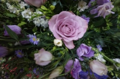 Florist Choice - A gift of flowers using the best blooms of the day chosen by your florist.