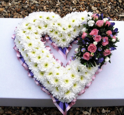 Based Open Heart - At Sarah Coxon Floral Design we are delighted to present this product available for flower delivery in Mid and North Norfolk. 

A based open heart is a traditional funeral tribute, it is based in white Chrysanthemums, and is edged in hand pleated ribbon in a colour co-ordinating waterproof ribbon. The spray of flowers on top of the heart is raised above the Chrysanthemums and includes a beautiful selection of Roses, spray Carnations and other flowers to complement the design. 

The flowers are arranged in water retaining foam (oasis) to ensure maximum freshness. 

Standard - approx size 17"

Deluxe - approx size 19"

Luxury - approx size 19" - larger sprays than the deluxe size

We deliver directly to all of the local funeral directors and will contact them to confirm a delivery time. 

Our flowers at Sarah Coxon Floral Design arrive fresh from the Dutch auctions every day so you can be rest assured we are using the best quality of flowers available. 

If you would like to choose a colour scheme, please state this in the special request box. Suggested colour schemes are red and white, yellow and white, pink and white and peach and white. If no colours have been selected we will use the same colours as the picture.